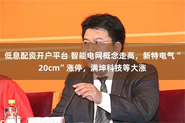 低息配资开户平台 智能电网概念走高，新特电气“20cm”涨停，满坤科技等大涨