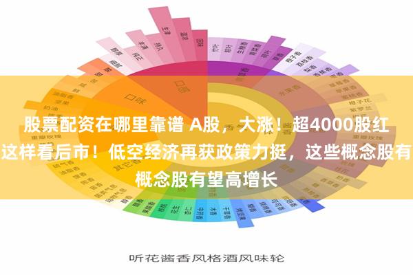 股票配资在哪里靠谱 A股，大涨！超4000股红盘，机构这样看后市！低空经济再获政策力挺，这些概念股有望高增长