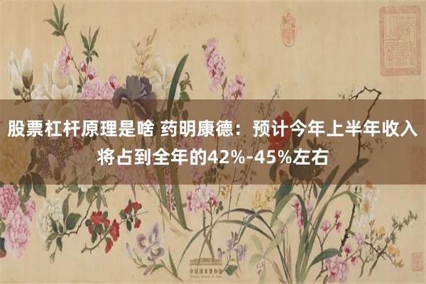 股票杠杆原理是啥 药明康德：预计今年上半年收入将占到全年的42%-45%左右