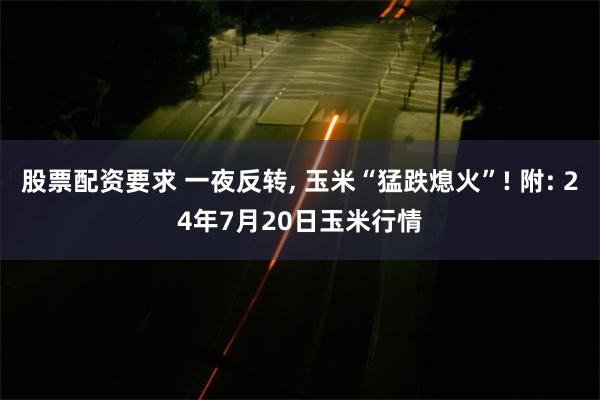 股票配资要求 一夜反转, 玉米“猛跌熄火”! 附: 24年7月20日玉米行情