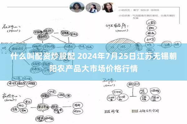 什么叫配资炒股配 2024年7月25日江苏无锡朝阳农产品大市场价格行情