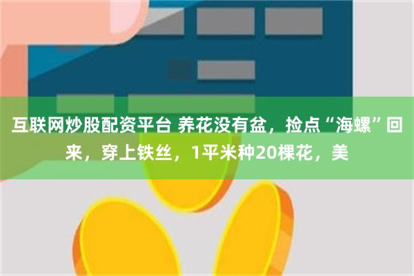 互联网炒股配资平台 养花没有盆，捡点“海螺”回来，穿上铁丝，1平米种20棵花，美