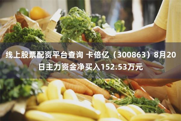 线上股票配资平台查询 卡倍亿（300863）8月20日主力资金净买入152.53万元