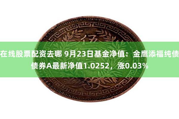 在线股票配资去哪 9月23日基金净值：金鹰添福纯债债券A最新净值1.0252，涨0.03%