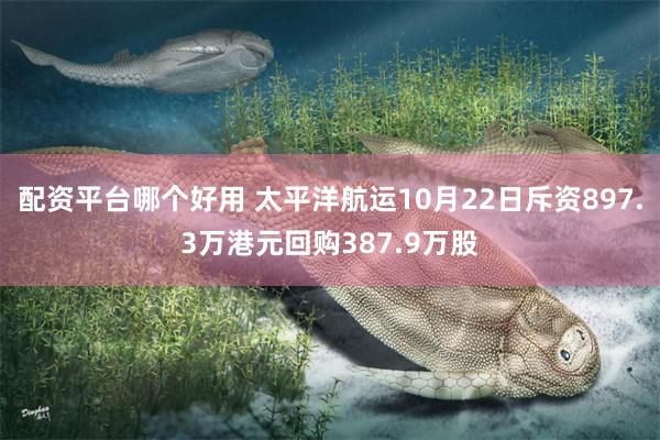 配资平台哪个好用 太平洋航运10月22日斥资897.3万港元回购387.9万股