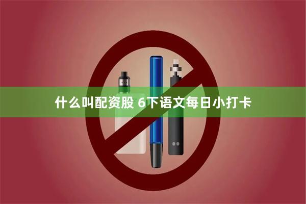 什么叫配资股 6下语文每日小打卡